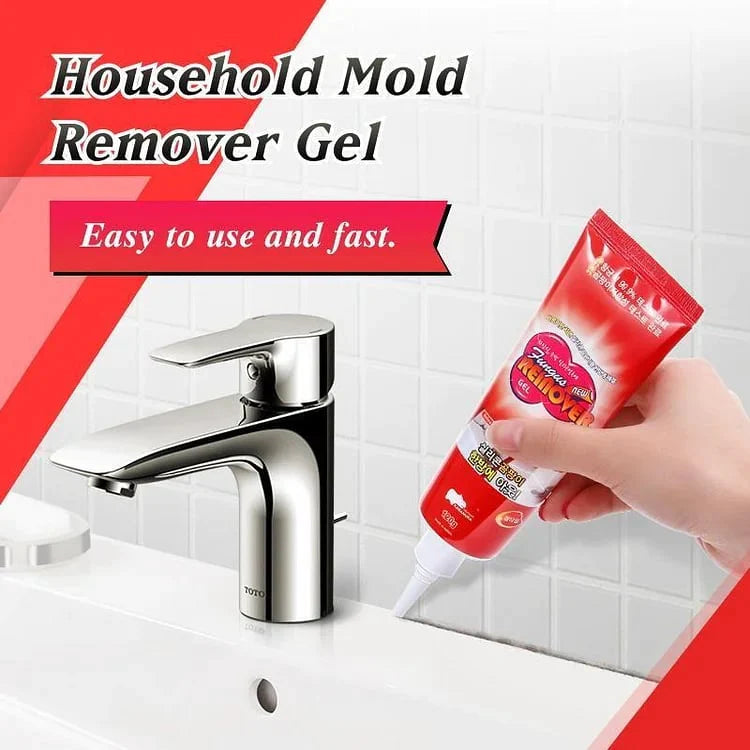 Mold Remover
